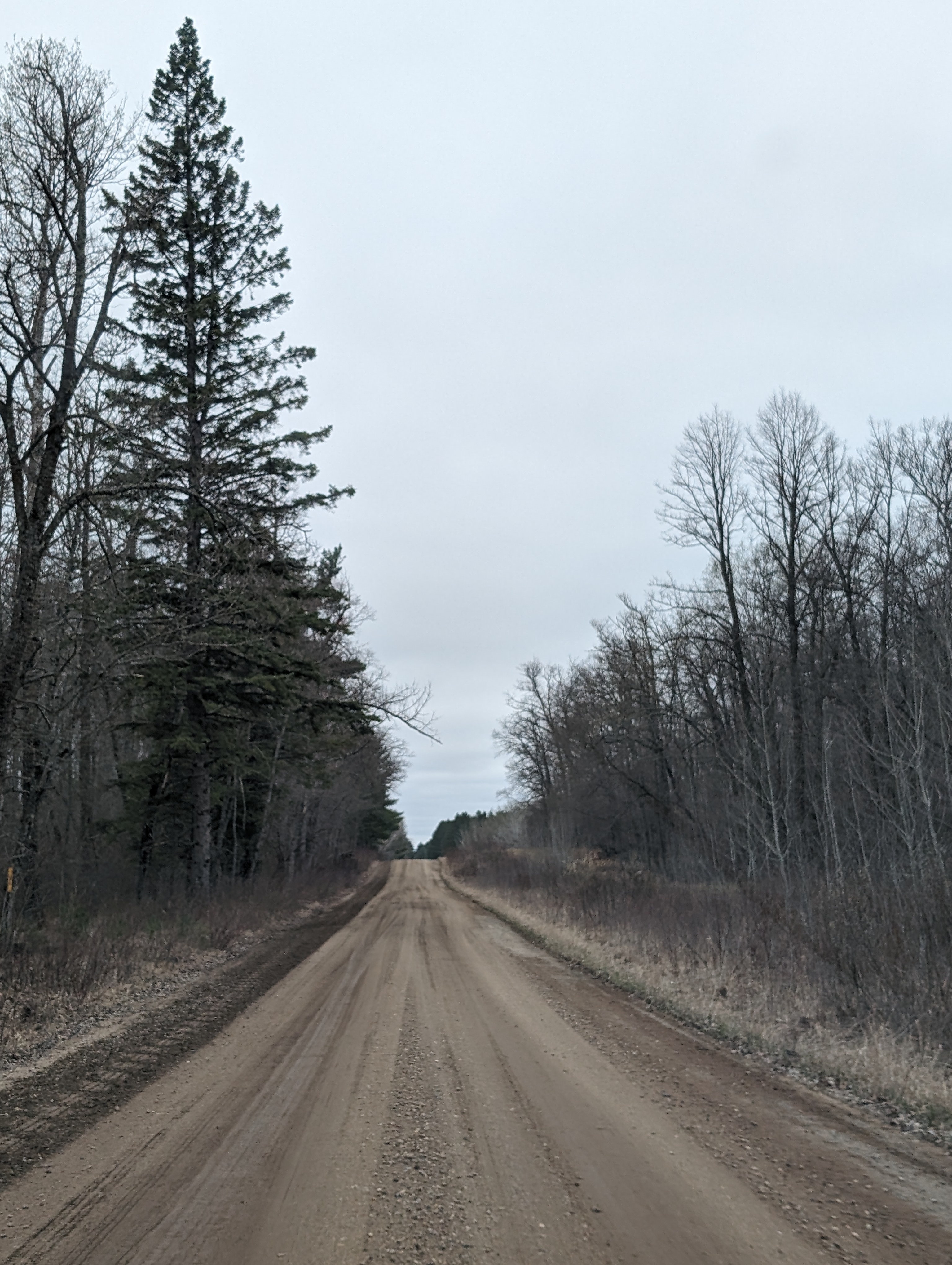 Image 22